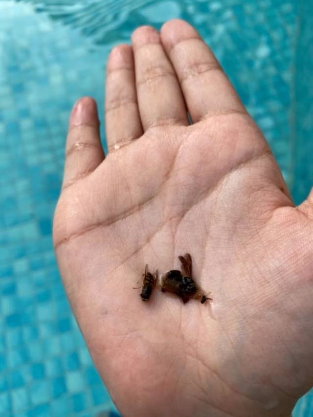 小河淌水温泉小镇