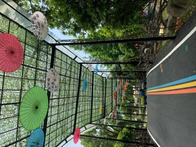 安吉奇幻嘉乐比景区