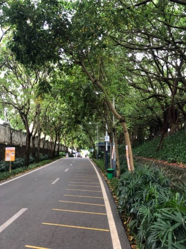 光明农场大观园