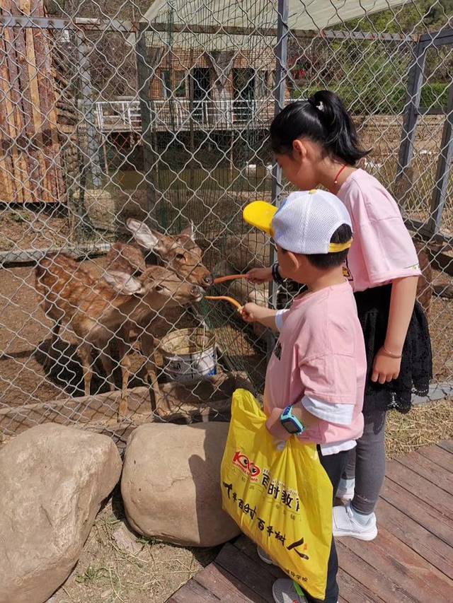盛京荟亲子动物乐园