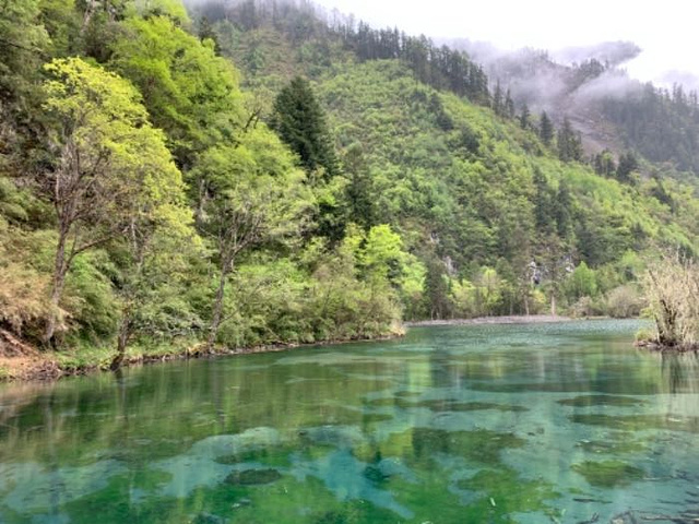 "景色很漂亮 5月底来还能看到雪景真的很意..._毕棚沟滑雪场"的评论图片