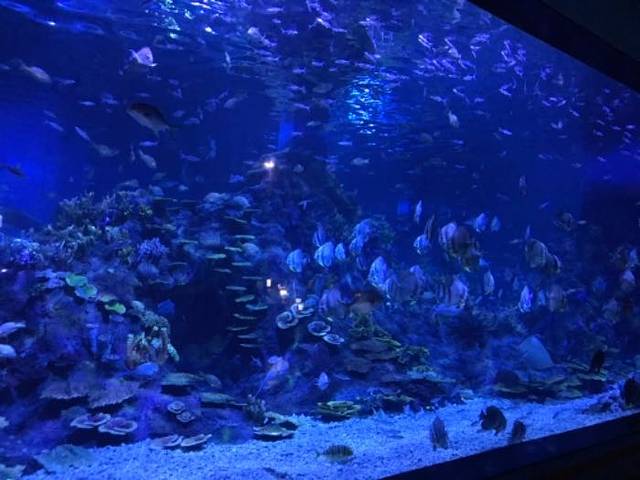 温州极地海洋世界