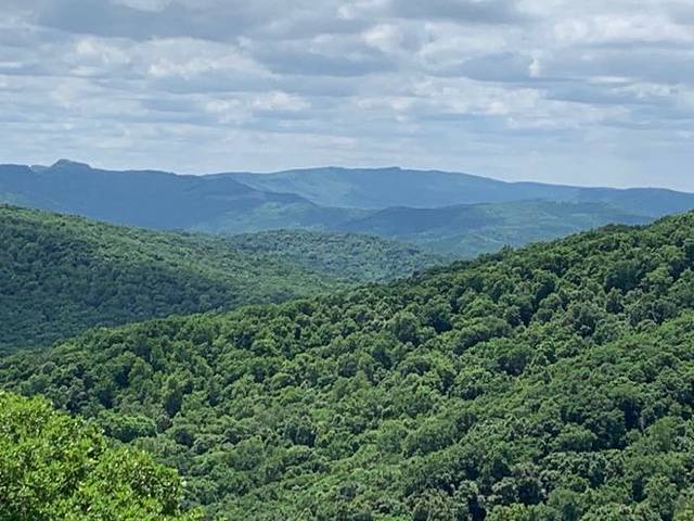 长寿国家森林公园