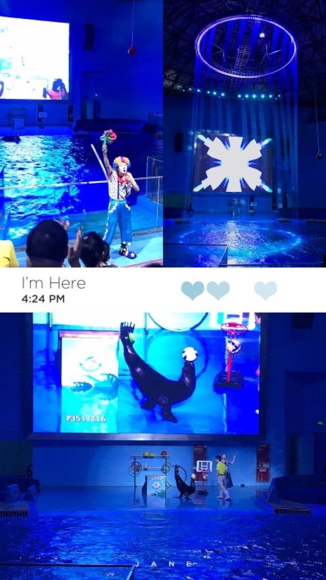 温州极地海洋世界