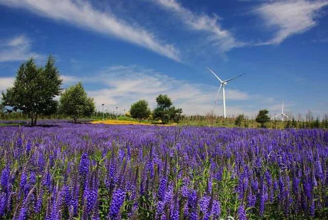 张家口蒙古大营