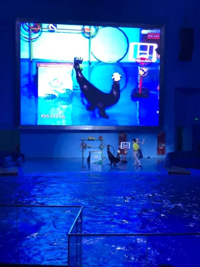 温州极地海洋世界