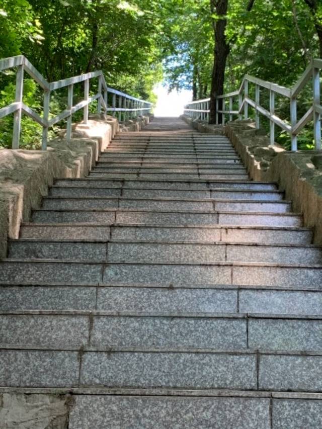 长寿国家森林公园