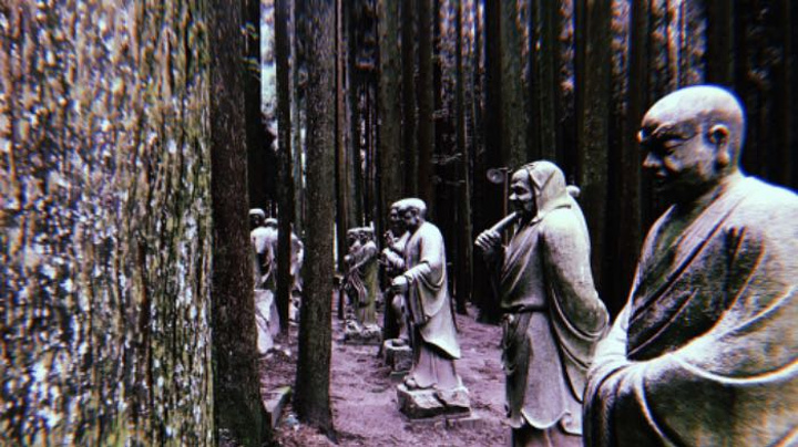 "_武陵山国家森林公园"的评论图片