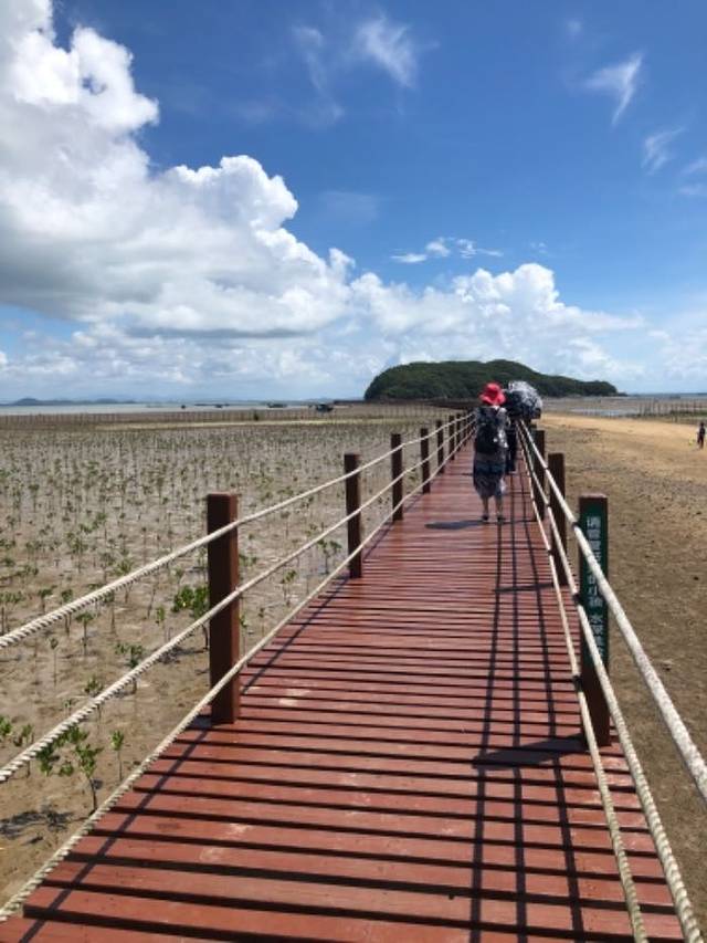 海陵岛红树林国家湿地公园