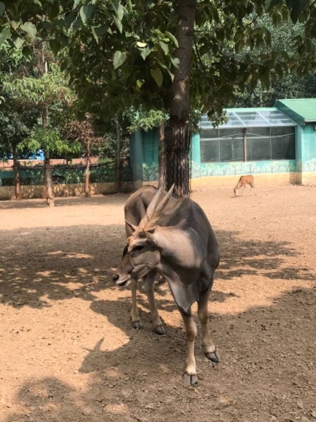 东北庄野生动物园