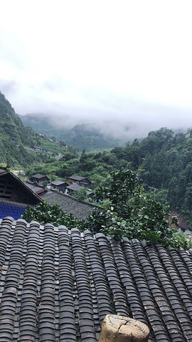 "每个地方的文化风情都不一样，包餐包宿，导游小哥哥也很幽默，路上会给讲解每个地方的风情文化，总之一个字_芙蓉镇"的评论图片