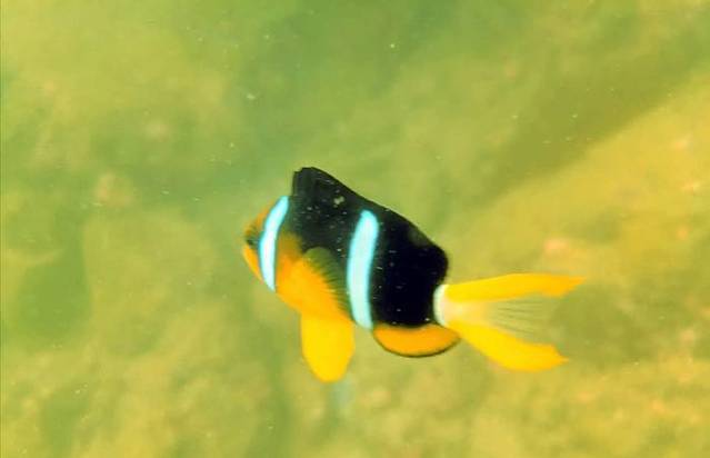 海龟自然保护区