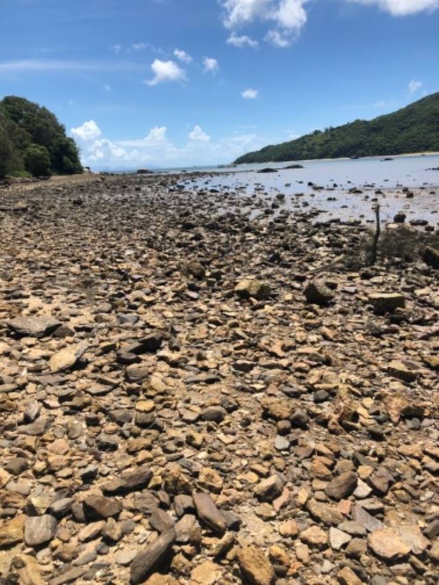 海陵岛红树林国家湿地公园