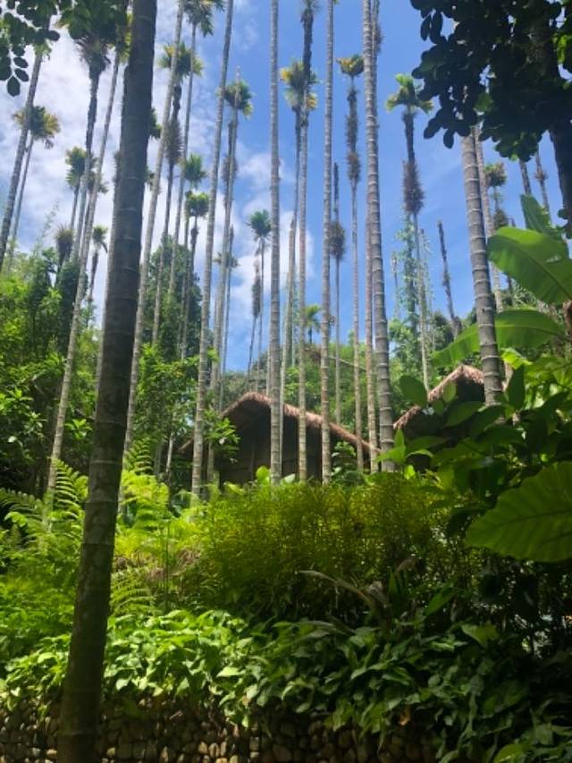 亚龙湾爱琴海西排潜水