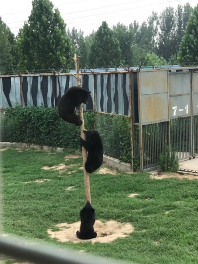 东北庄野生动物园