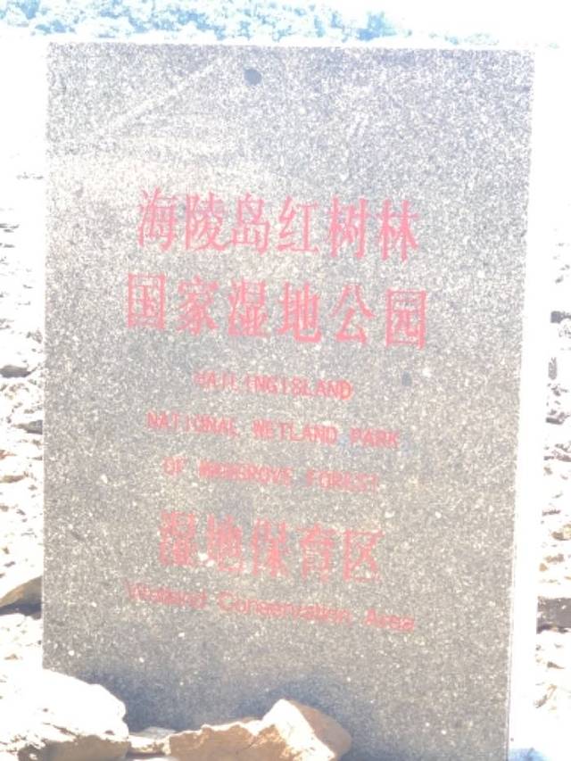 海陵岛红树林国家湿地公园