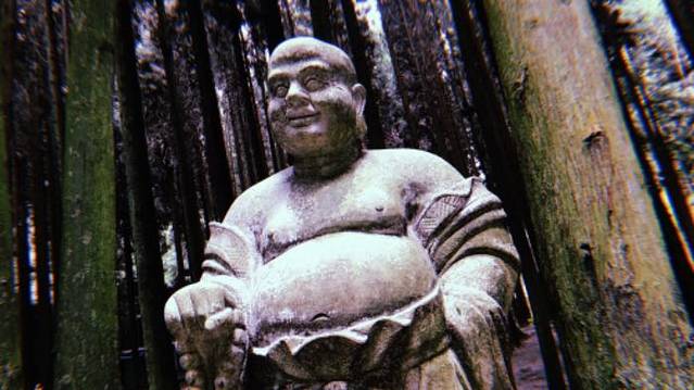 武陵山国家森林公园