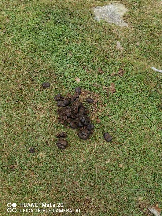 仰天湖草原风景区