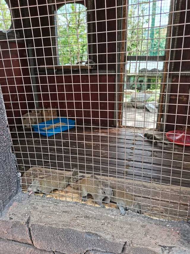 光明松鼠谷主题乐园