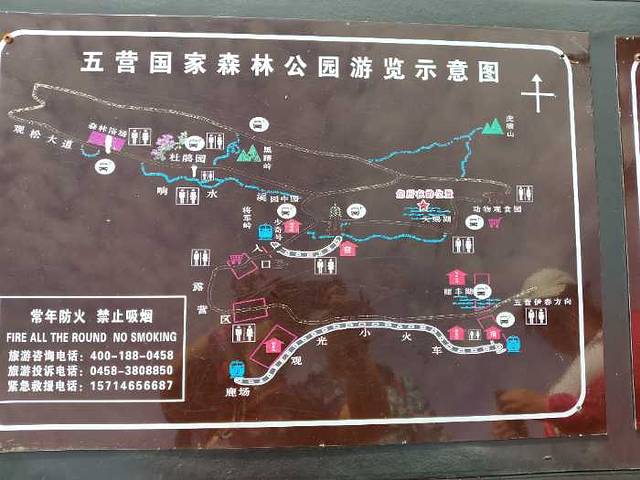 五营红松林海景区