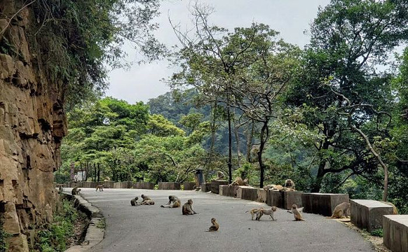 龙潭国家森林公园旅游景点图片