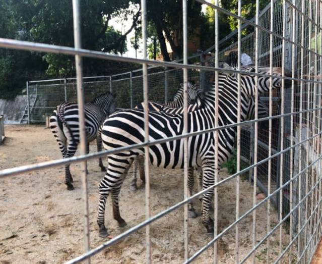 泉州海丝野生动物世界