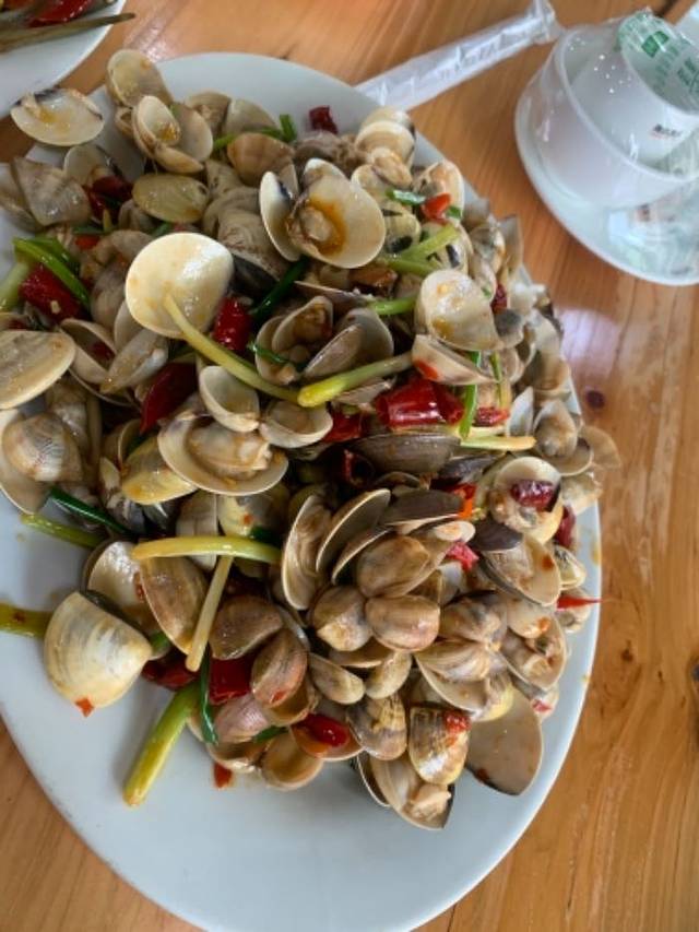 红树林欢乐赶海