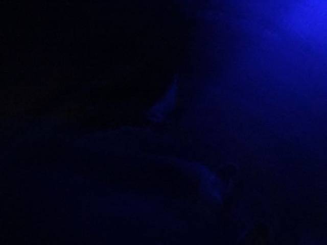 瑶琳国家森林公园