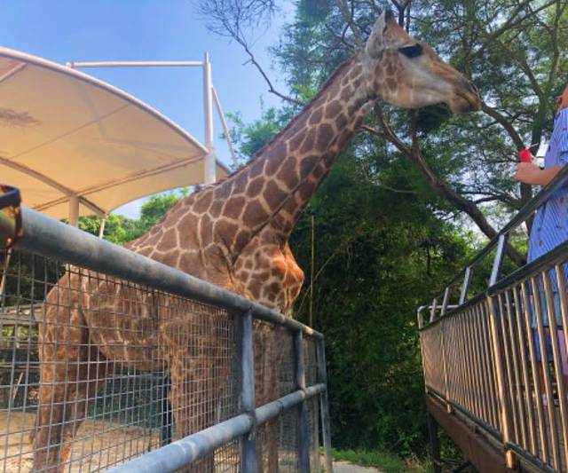 泉州海丝野生动物世界