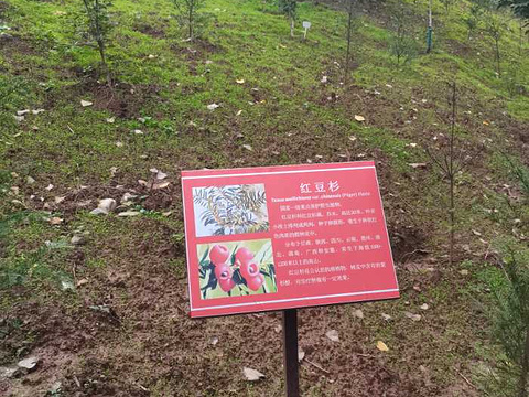 秦岭国家植物园旅游景点图片