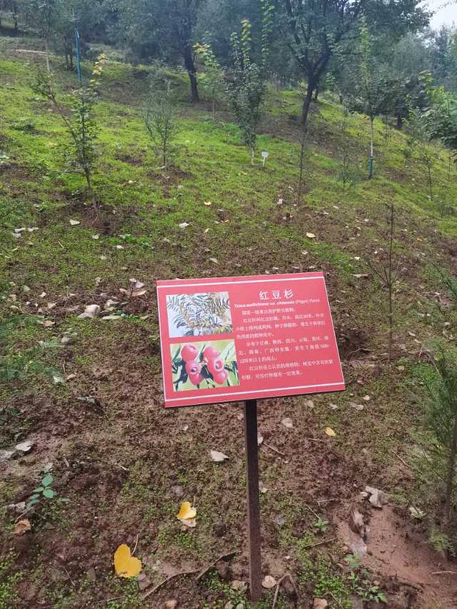 秦岭国家植物园