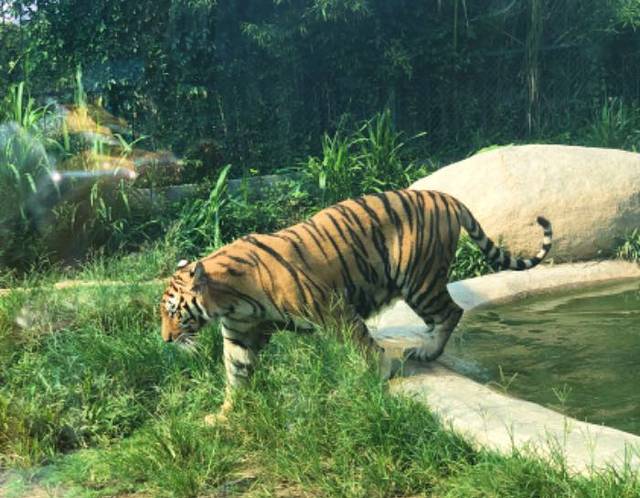泉州海丝野生动物世界