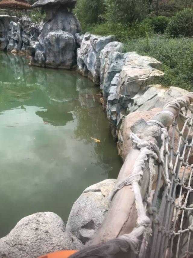 贵州九仙旅游景区