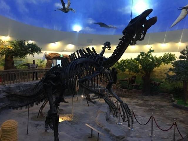 嘉荫恐龙国家地质公园