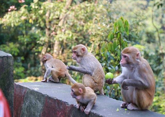龙潭国家森林公园