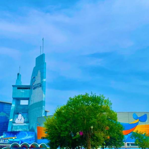 胶州湾隧道展示馆