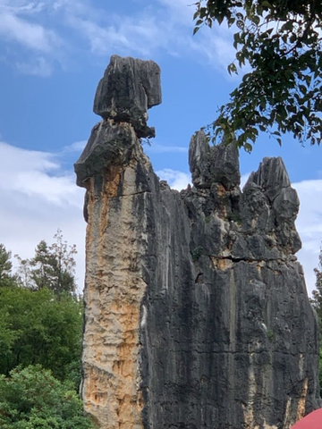 "_石林风景区"的评论图片