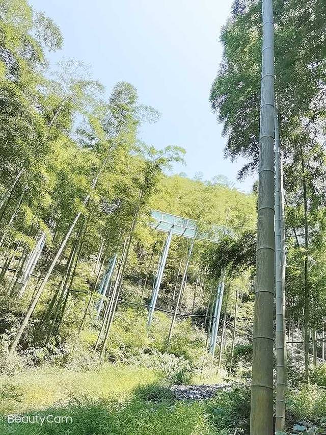 星潮营地-竹尖上的漂流