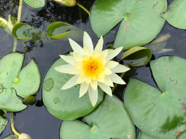 塔斗山与望海塔