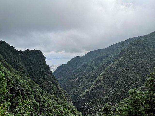 "_苍山"的评论图片