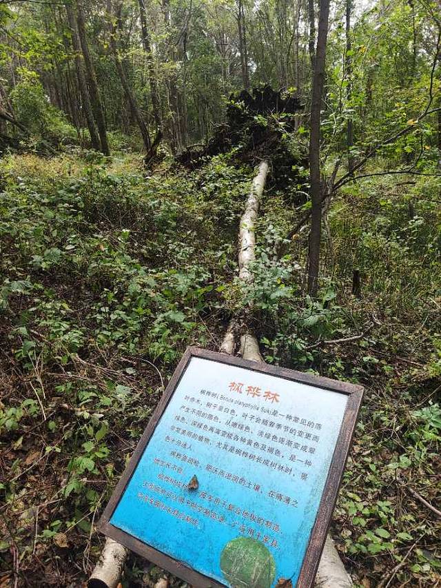 青山国家森林公园