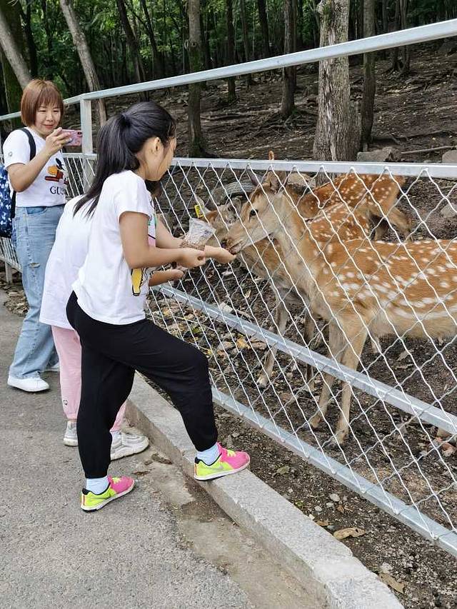 长寿国家森林公园