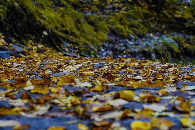 祁连山冰沟河景区