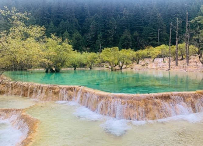 "“九寨归来不看水”绝非浪得虚名～景色秀丽多姿多彩。喜欢旅行的小伙伴一定要来九寨沟哇～_老虎海"的评论图片