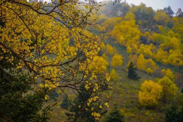 祁连山冰沟河景区