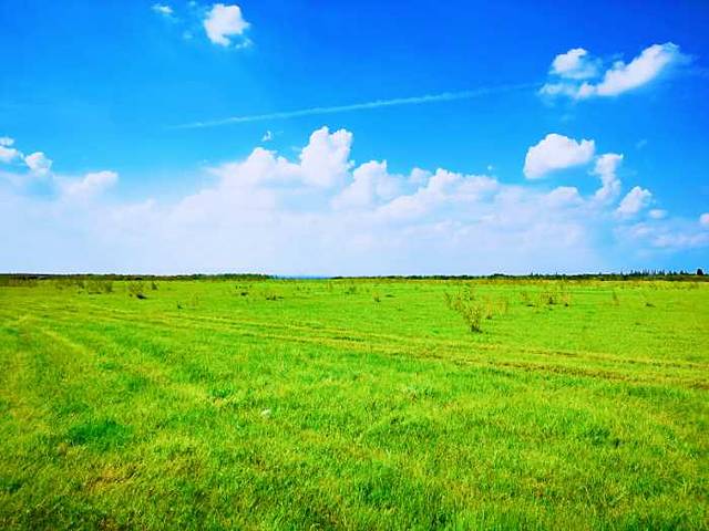 陕西红碱淖风景区