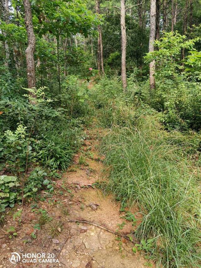 石莲洞国家森林公园