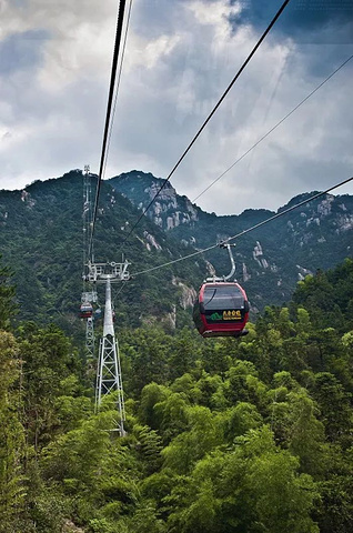 "_九华山"的评论图片