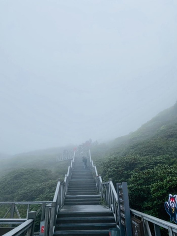 "_苍山"的评论图片