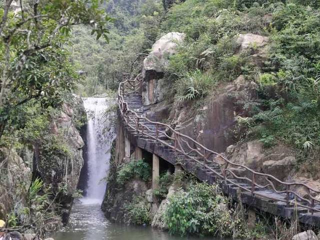 天竺山森林公园
